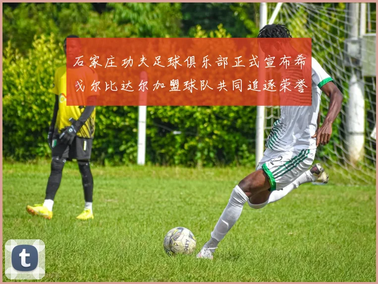 石家庄功夫足球俱乐部正式宣布希戈尔比达尔加盟球队共同追逐荣誉